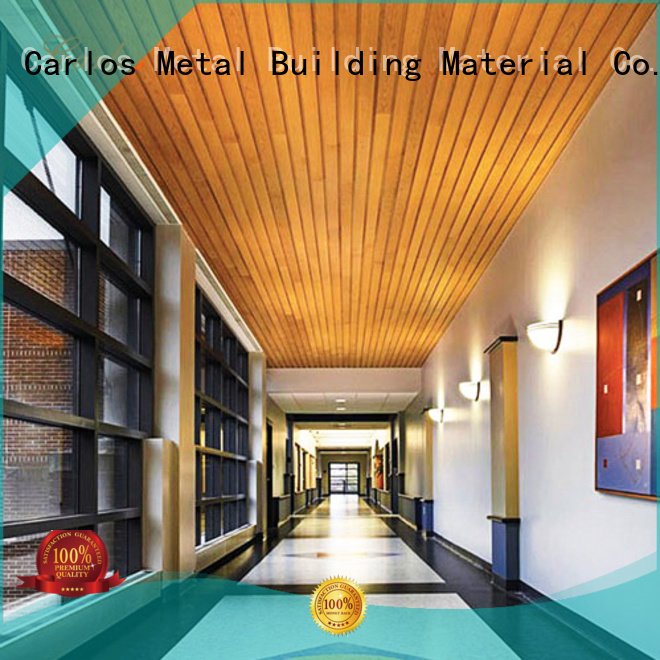 Buckle The Ceiling Series Ceilingpanel Carlos Metal Building