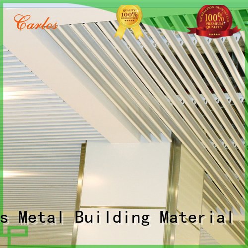 High Quality Blade Ceiling Series Ceilingpanel