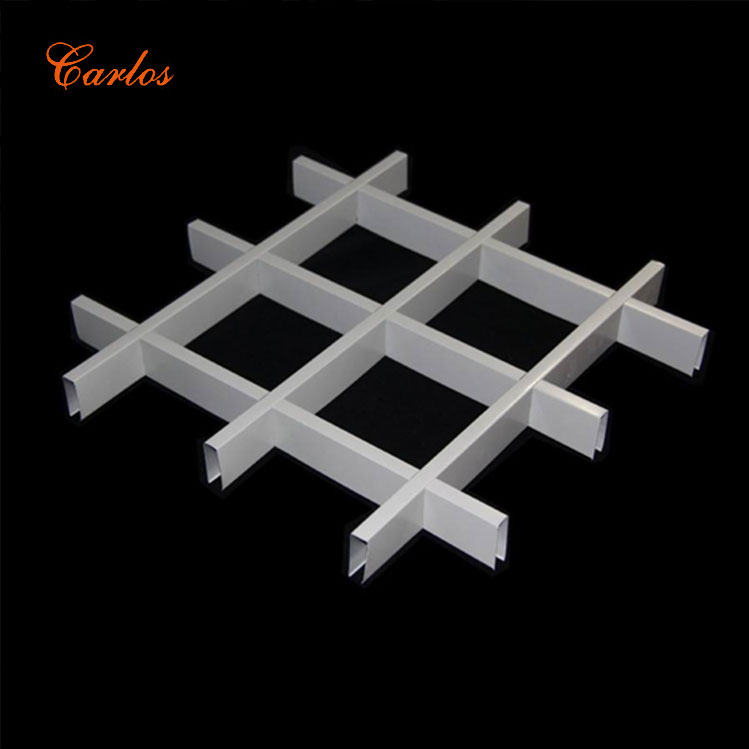 Carlos Array image16